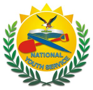 National Youth Service logo