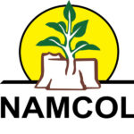 namibian college of open learning 495f11e6 &raquo; Sky Jobs Namibia
