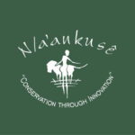 n a an ku s wildlife experience 19831870 1 &raquo; Sky Jobs Namibia